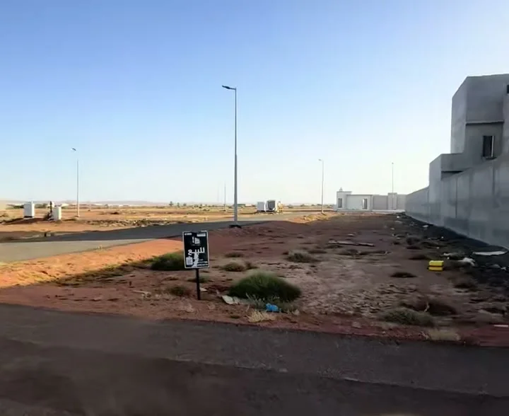 أرض للبيع في حي الودي حائل — الصورة الرئيسية